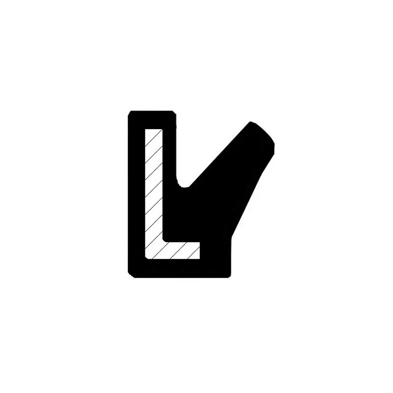 Bague d'étanchéité CORTECO 12012681B