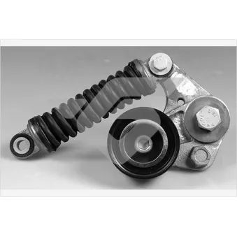 Poulie-tendeur, courroie trapézoïdale à nervures HUTCHINSON