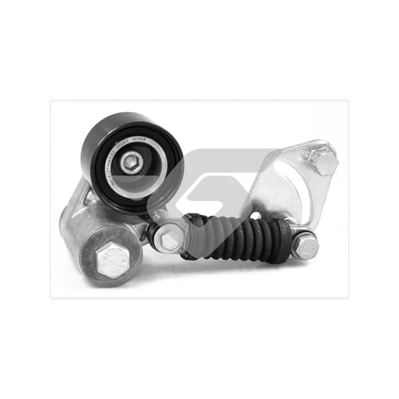 Poulie-tendeur, courroie trapézoïdale à nervures HUTCHINSON T5018