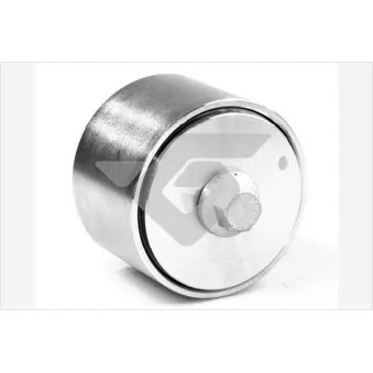 Poulie renvoi/transmission, courroie trapézoïdale à nervures HUTCHINSON