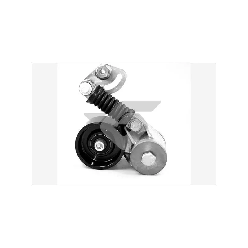 Poulie-tendeur, courroie trapézoïdale à nervures HUTCHINSON T5003