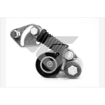 Poulie-tendeur, courroie trapézoïdale à nervures HUTCHINSON