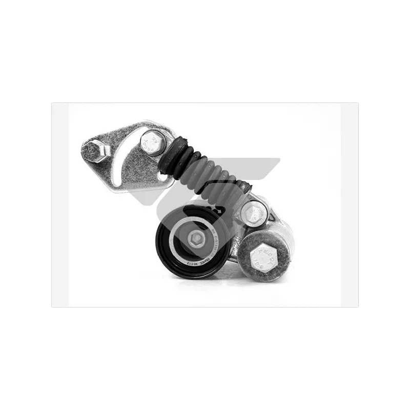 Poulie-tendeur, courroie trapézoïdale à nervures HUTCHINSON T5014