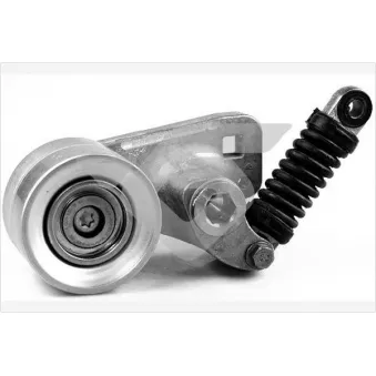 Poulie-tendeur, courroie trapézoïdale à nervures HUTCHINSON