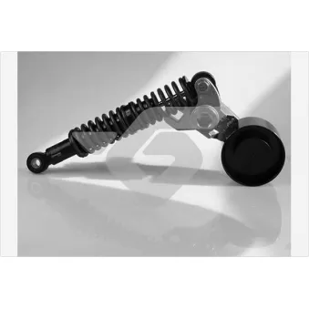 Poulie-tendeur, courroie trapézoïdale à nervures HUTCHINSON