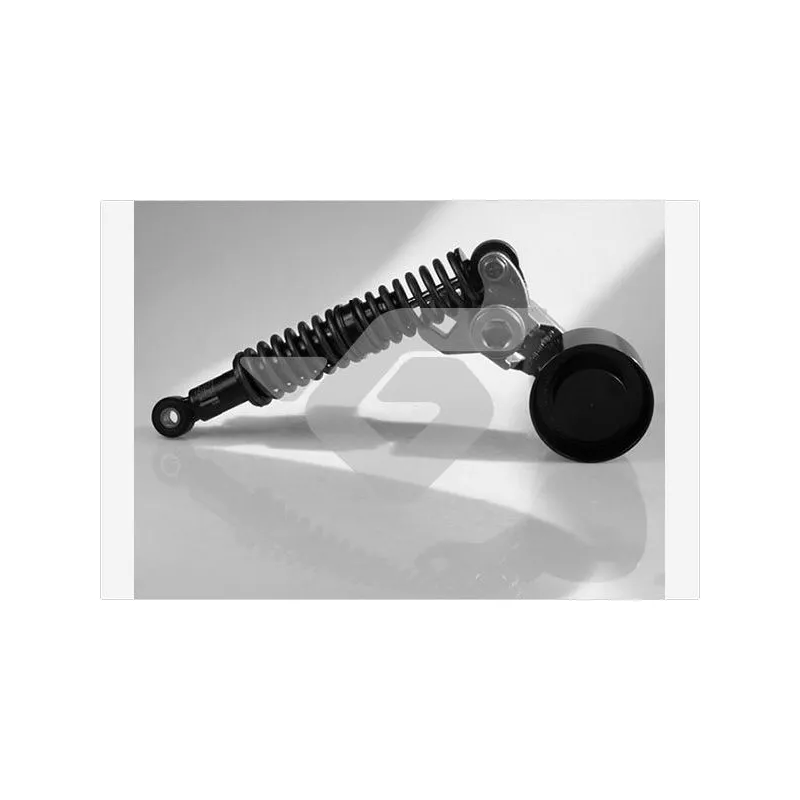 Poulie-tendeur, courroie trapézoïdale à nervures HUTCHINSON T3077