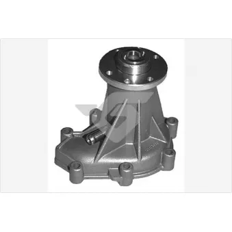 Pompe à eau HUTCHINSON