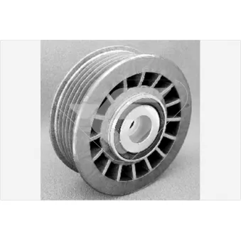 Poulie renvoi/transmission, courroie trapézoïdale à nervures HUTCHINSON