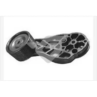 Poulie renvoi/transmission, courroie trapézoïdale à nervures HUTCHINSON