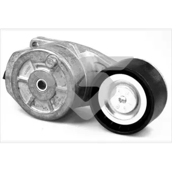 Poulie-tendeur, courroie trapézoïdale à nervures HUTCHINSON