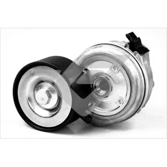 Poulie-tendeur, courroie trapézoïdale à nervures HUTCHINSON