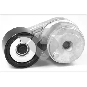 Poulie-tendeur, courroie trapézoïdale à nervures HUTCHINSON