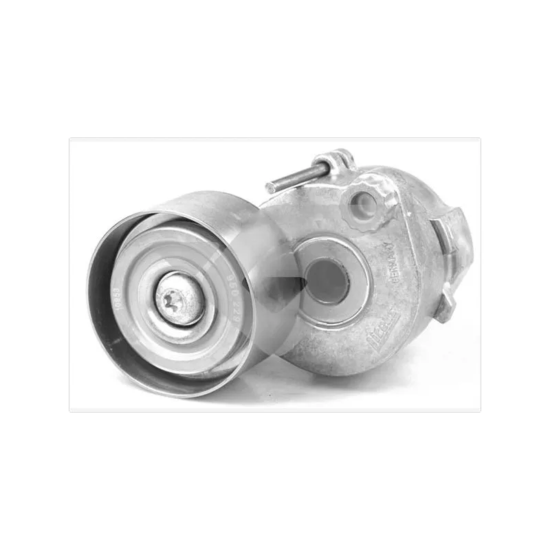 Poulie-tendeur, courroie trapézoïdale à nervures HUTCHINSON TK043