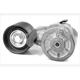 Poulie-tendeur, courroie trapézoïdale à nervures HUTCHINSON