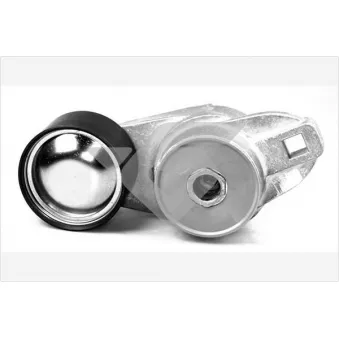 Poulie-tendeur, courroie trapézoïdale à nervures HUTCHINSON