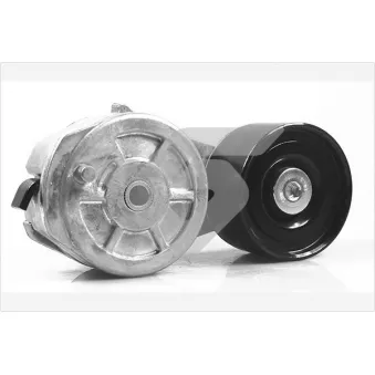 Poulie-tendeur, courroie trapézoïdale à nervures HUTCHINSON