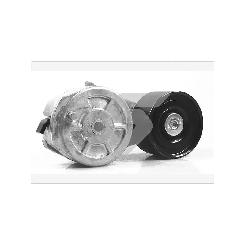 Poulie-tendeur, courroie trapézoïdale à nervures HUTCHINSON TK035