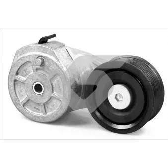 Poulie-tendeur, courroie trapézoïdale à nervures HUTCHINSON