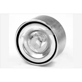 Poulie renvoi/transmission, courroie trapézoïdale à nervures HUTCHINSON