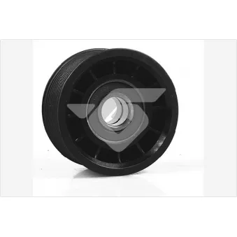 Poulie renvoi/transmission, courroie trapézoïdale à nervures HUTCHINSON