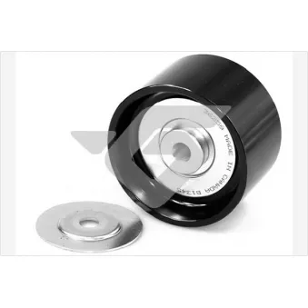Poulie renvoi/transmission, courroie trapézoïdale à nervures HUTCHINSON