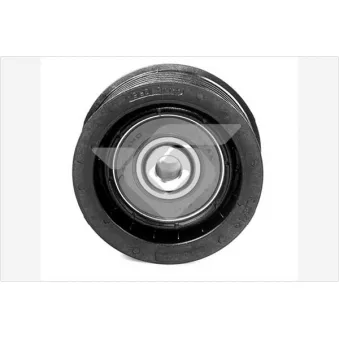 Poulie renvoi/transmission, courroie trapézoïdale à nervures HUTCHINSON