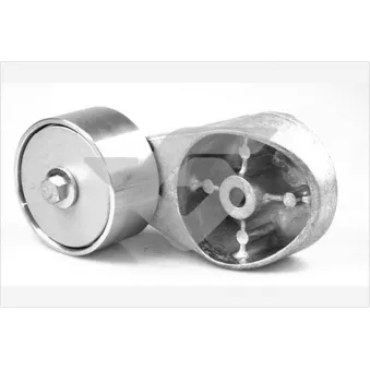 Poulie-tendeur, courroie trapézoïdale à nervures HUTCHINSON