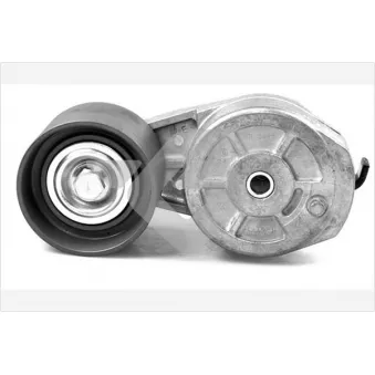 Poulie-tendeur, courroie trapézoïdale à nervures HUTCHINSON