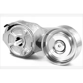 Poulie-tendeur, courroie trapézoïdale à nervures HUTCHINSON