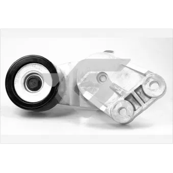 Poulie-tendeur, courroie trapézoïdale à nervures HUTCHINSON