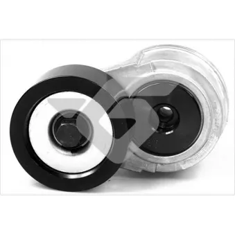 Poulie-tendeur, courroie trapézoïdale à nervures HUTCHINSON