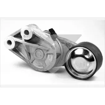 Poulie-tendeur, courroie trapézoïdale à nervures HUTCHINSON