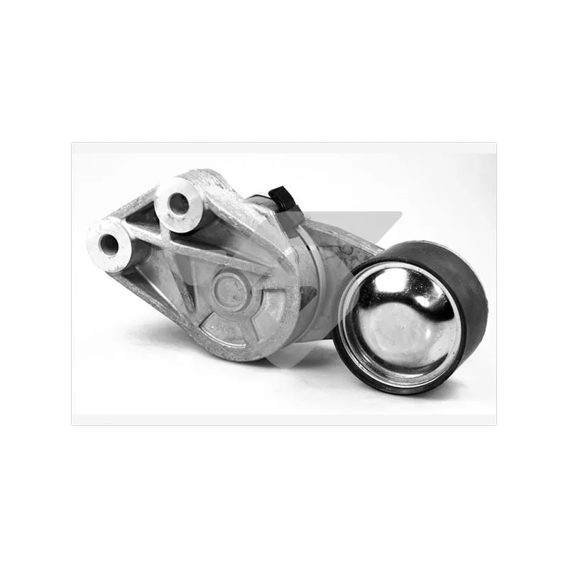 Poulie-tendeur, courroie trapézoïdale à nervures HUTCHINSON TK031