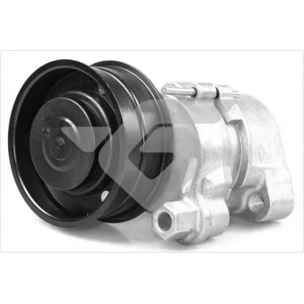 Poulie-tendeur, courroie trapézoïdale à nervures HUTCHINSON