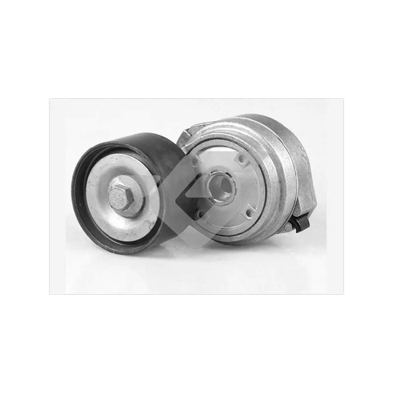 Poulie-tendeur, courroie trapézoïdale à nervures HUTCHINSON TK032