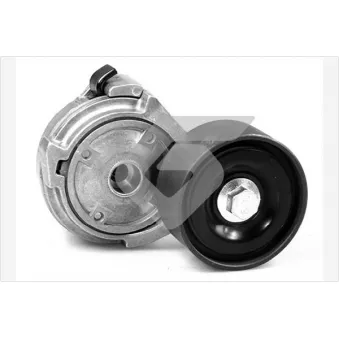 Poulie-tendeur, courroie trapézoïdale à nervures HUTCHINSON