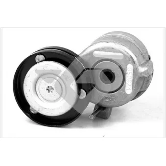 Poulie-tendeur, courroie trapézoïdale à nervures HUTCHINSON