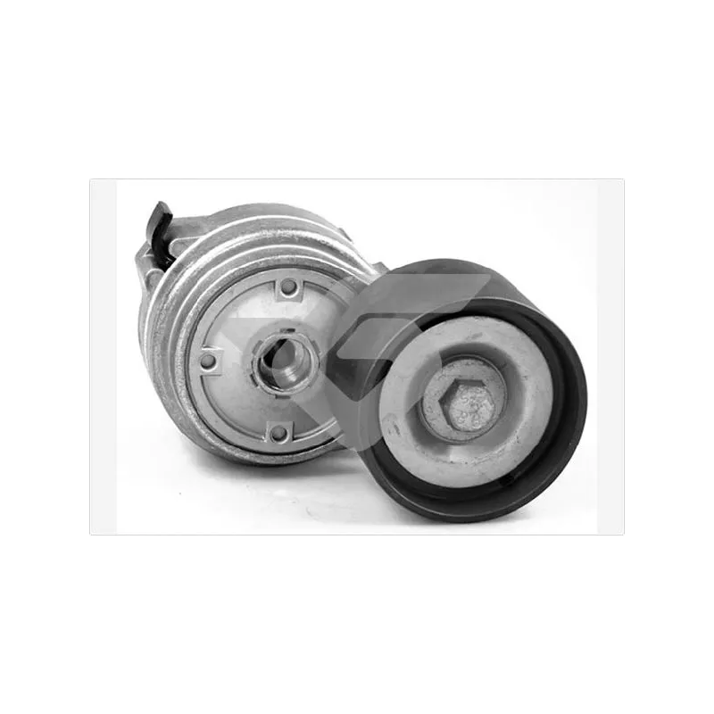 Poulie-tendeur, courroie trapézoïdale à nervures HUTCHINSON TK019