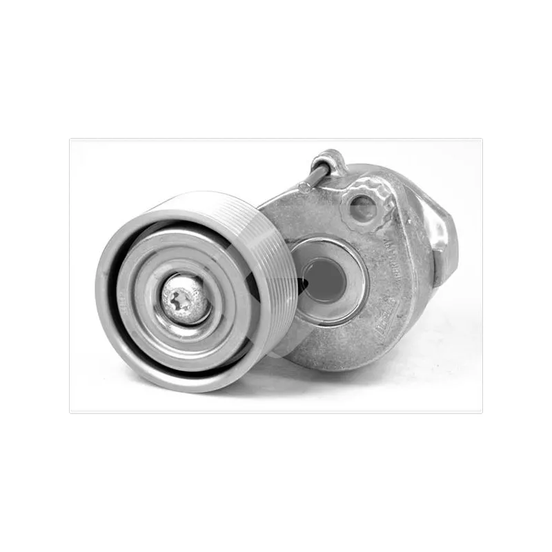 Poulie-tendeur, courroie trapézoïdale à nervures HUTCHINSON TK020