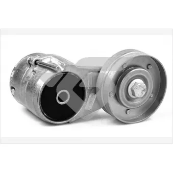 Poulie-tendeur, courroie trapézoïdale à nervures HUTCHINSON