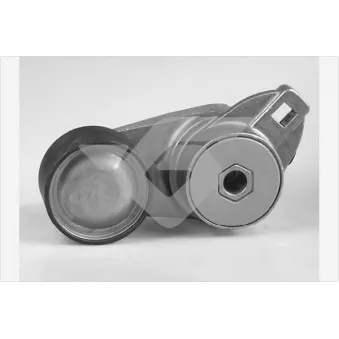 Poulie-tendeur, courroie trapézoïdale à nervures HUTCHINSON