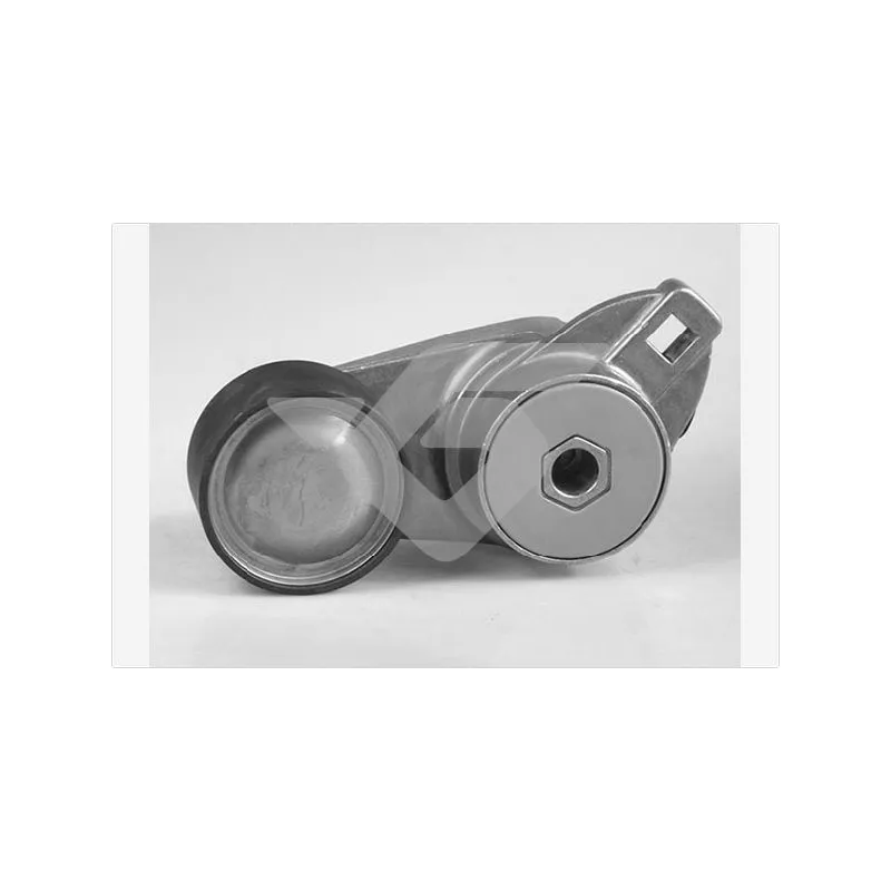 Poulie-tendeur, courroie trapézoïdale à nervures HUTCHINSON TK016