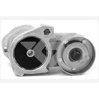 Poulie-tendeur, courroie trapézoïdale à nervures HUTCHINSON