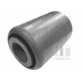 Coussinet de palier, ressort à lames TEDGUM 00582409