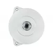 Alternateur AS-PL A0021 - Visuel 1