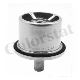 Thermostat d'eau CALORSTAT BY VERNET THCT19100.85