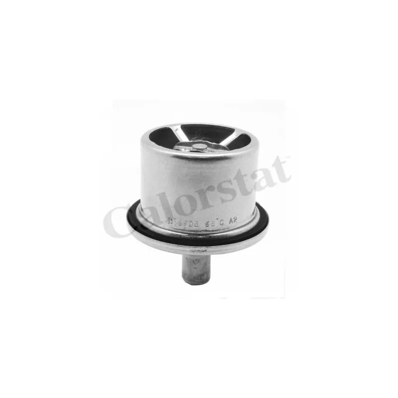 Thermostat d'eau CALORSTAT BY VERNET THCT19100.85