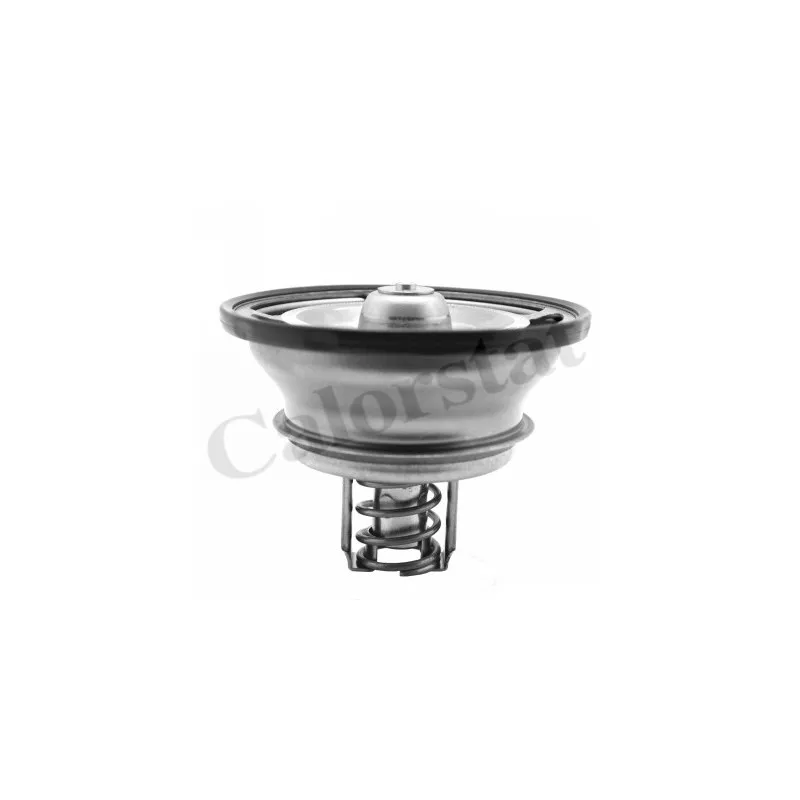 Thermostat d'eau CALORSTAT BY VERNET THCT18201.76