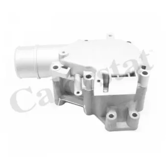 Thermostat d'eau CALORSTAT BY VERNET