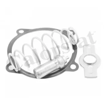 Thermostat d'eau CALORSTAT BY VERNET